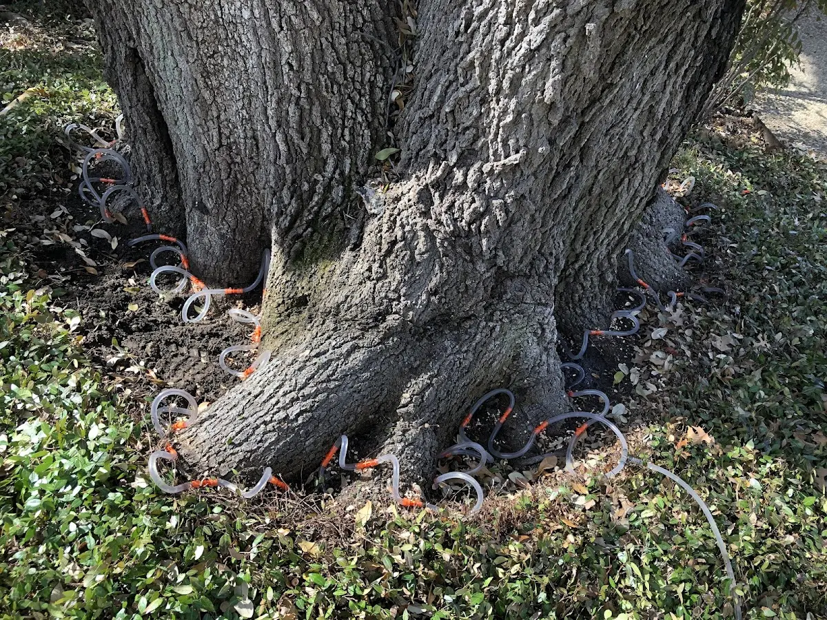 Detailed Shrub and Hedge Trimming job site in Barnesville